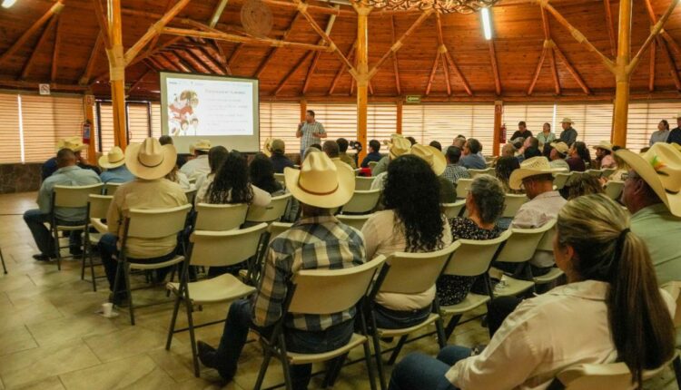 A2ace14e 0a9d 4275 9303 1be565da036e