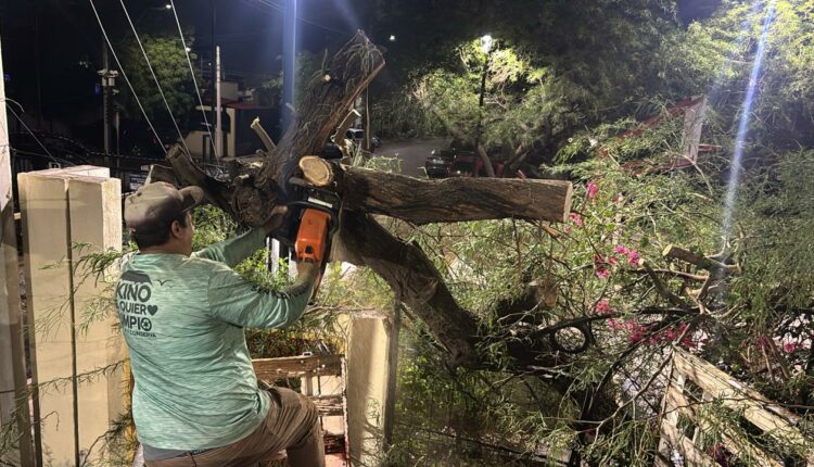 Atiende Gobierno De Hermosillo 34 Reportes Por Lluvia Presentada Este Domingo7