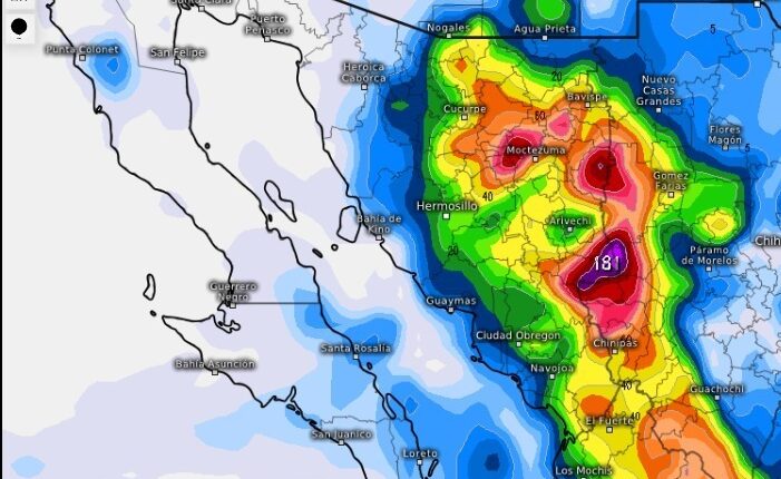 Ffa3d1eb 741f 43de A3ea 3e7212e2eeb9