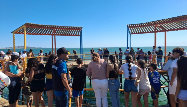 Mantiene Ayuntamiento De Hermosillo Operativo En Bahía De Kino Para Seguridad De Vacacionistas4