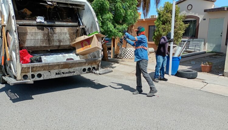 Recolecta Ayuntamiento De Hermosillo Mil 100 Toneladas En Acciones De Descacharre En Lo Que Va Del Año1