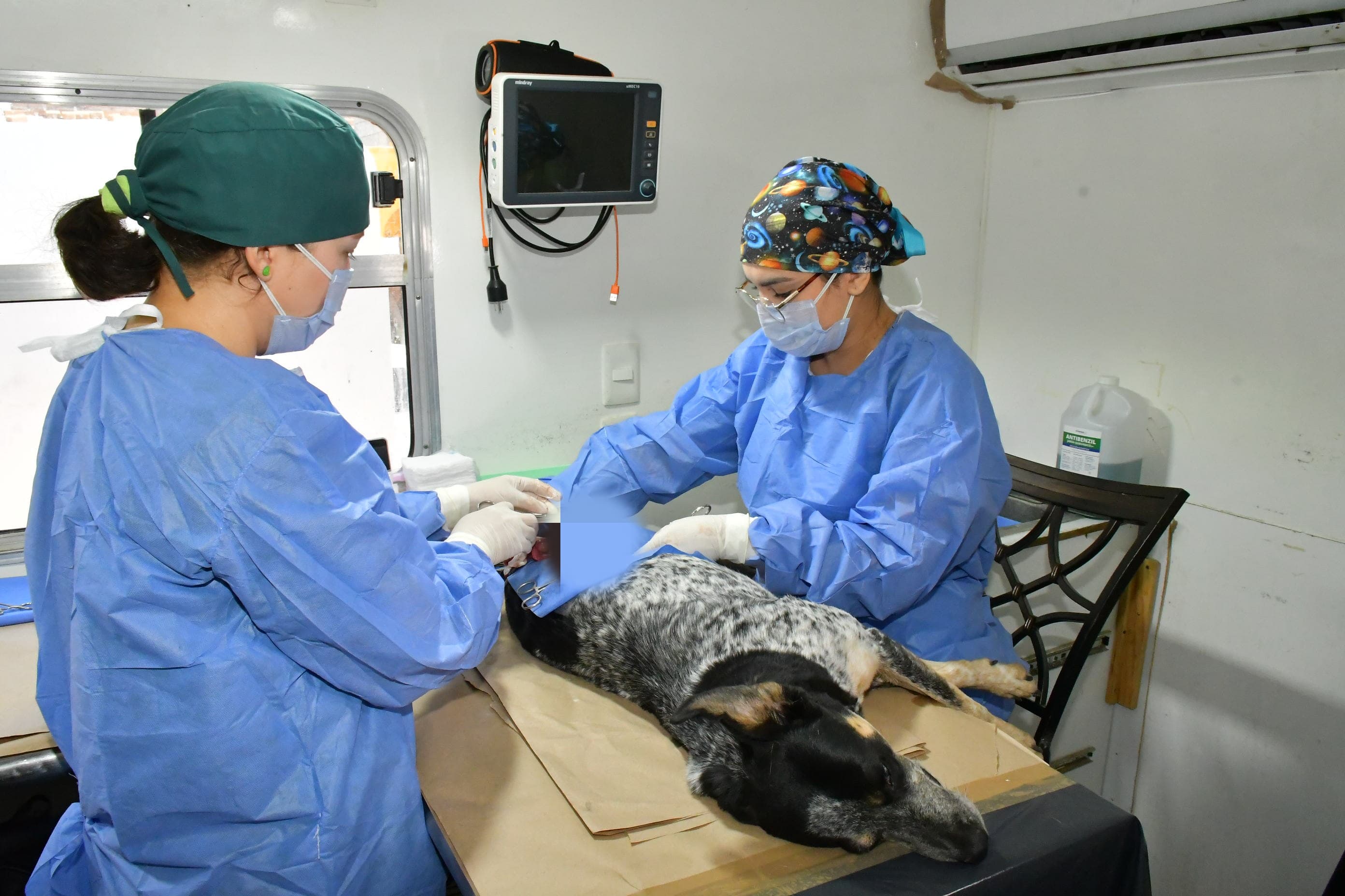 Tendrá Impba Esterilizaciones Gratuitas Este Viernes En Centro Hábitat Los Olivos (3)