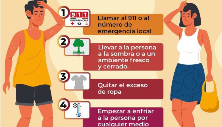 3bf6d3b5 72d8 48e6 B504 C7dd195c19e8